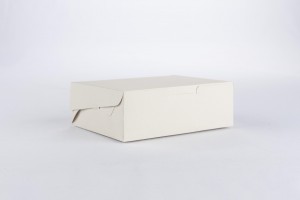 Caja de cartn 15x11,5x5cm CRUDO (B2-P1-E8-A4-C)