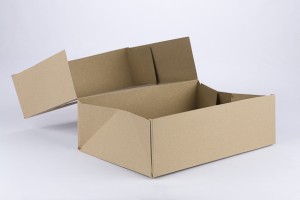 CAJA VENTANA 30X21X9 CM (L) KRAFT (B2-P1-E14-A1-B)