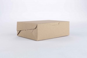 Caja de cartn 15x11,5x5cm KRAFT (B2-P1-E8-A4-A)