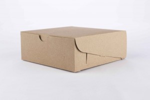16X16X6 CM (M) KRAFT (B2-P1-E9-A4-A)