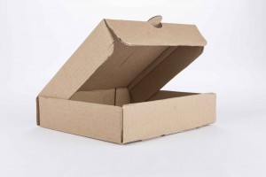 Caja para pizza en cartn corrugado de 20x20x4cm (B2-P2-E2-A4-A)