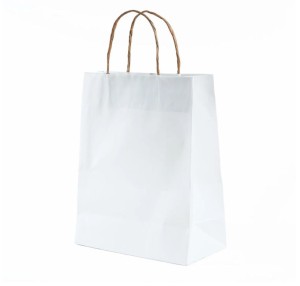 Bolsa de papel tipo Boutique # 2 BLANCO 17X23X7 CM (B3-P1-E4-A2)