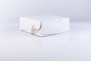 Caja de cartn 25x25x10cm BLANCA/KRAFT (B2-P2-E3-A3-C)