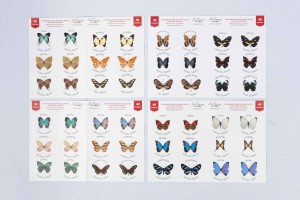 STICKERS DECORATIVOS MARIPOSAS (PAQUETE X 48 UNIDADES)