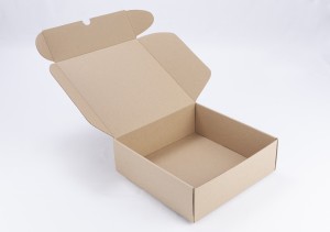 Caja rgida en cartn corrugado 30X30X10cm (B2-P2-E1-A1-B)