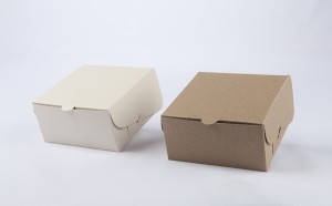 Caja de cartn 10x10x5cm BLANCO/CRUDO (B2-P1-E6-A3-B)