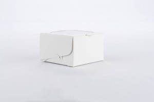 8X8X5 CM (S) VENTANA BLANCA (B2-P1-E9-A3-D)