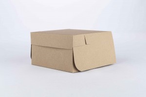 Caja de cartón 14x14x8cm (M) KRAFT (B2-P1-E7-A5-A)