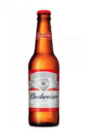 Cerveza Budweiser 